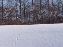DSC_0038.jpg