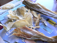 p1050655 かんかい