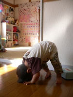 p1060010 るーてーの犬のポーズ