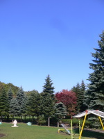 p1060251 紅葉しはじめた吉田川公園