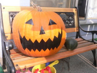 p1060255 今年のかぼちゃ