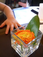 ホッとする場所